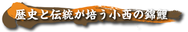 歴史と伝統が培う小西の錦鯉