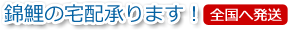 錦鯉の宅配を承ります！-全国へ発送