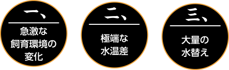 １、環境の変化　２、極端な水温差　３、大量の水替え