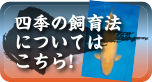 四季の飼育法