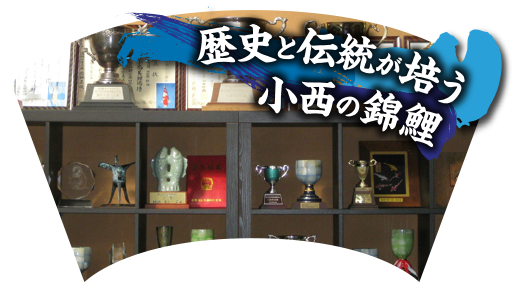 歴史と伝統が培う小西の錦鯉