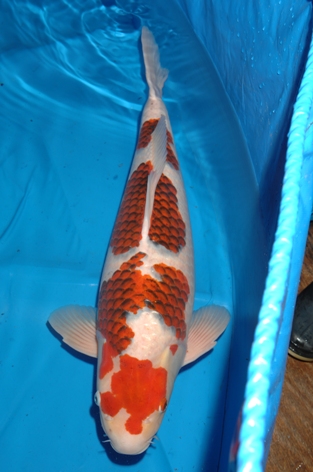 2010090912.JPG