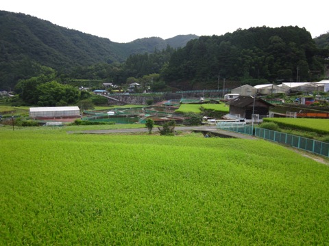 201009095.JPG