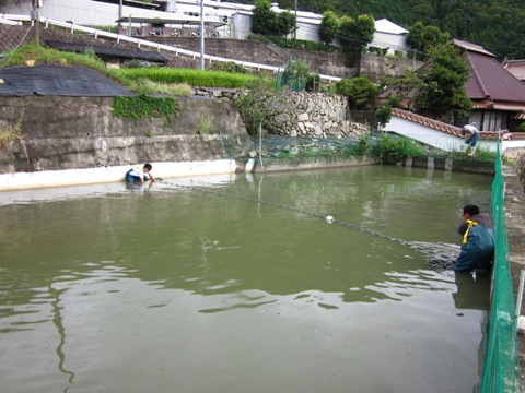 201009097.JPG