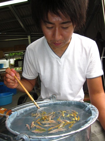 2010092612.JPG