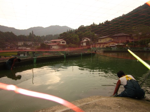 2010092616.JPG