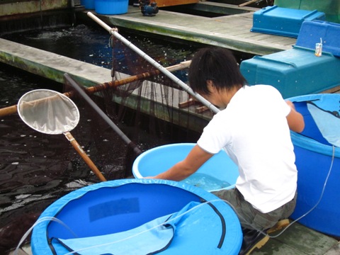 2010093005.JPG