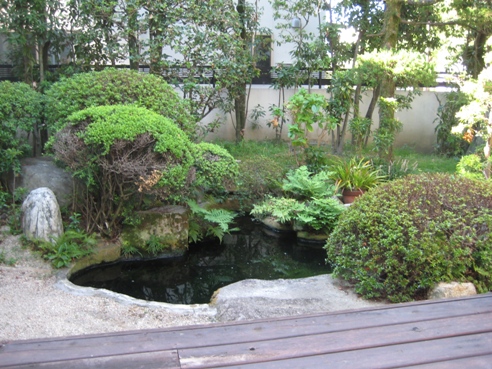 2010100103.JPG